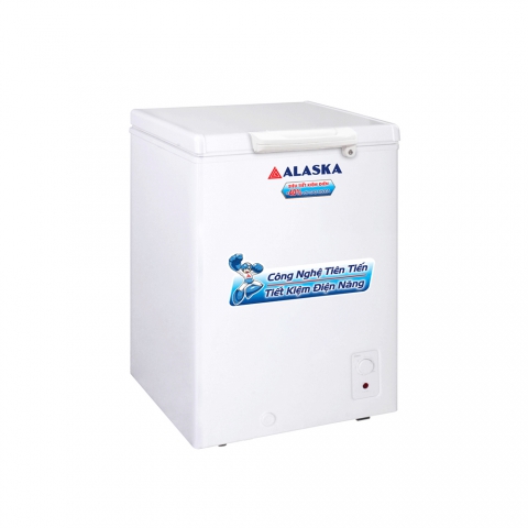TỦ ĐÔNG BD-150