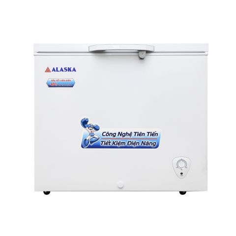Tủ đông Alaska 300 lít BD-300